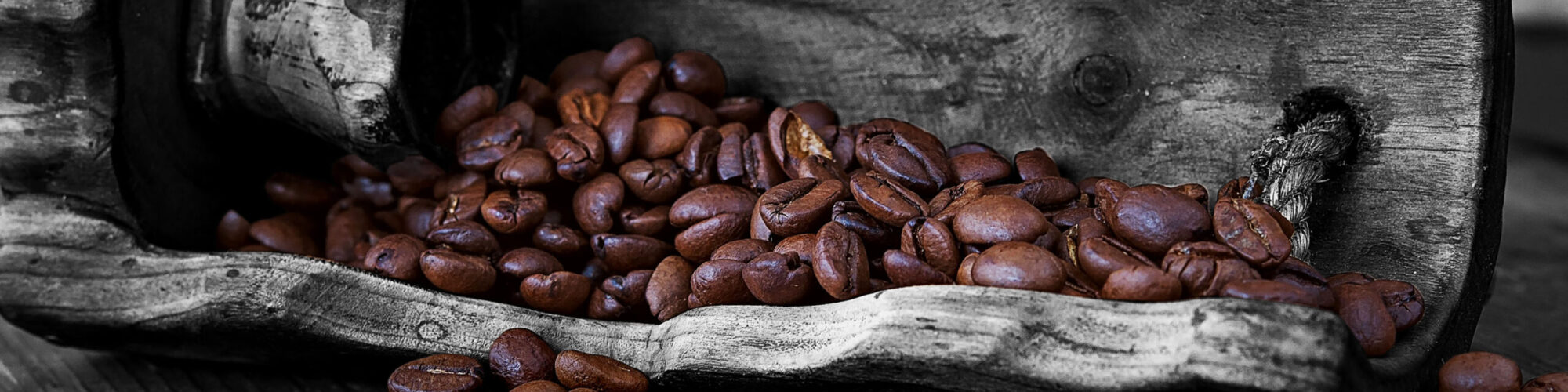 Kaffeebohnen im offenen Baumstamm